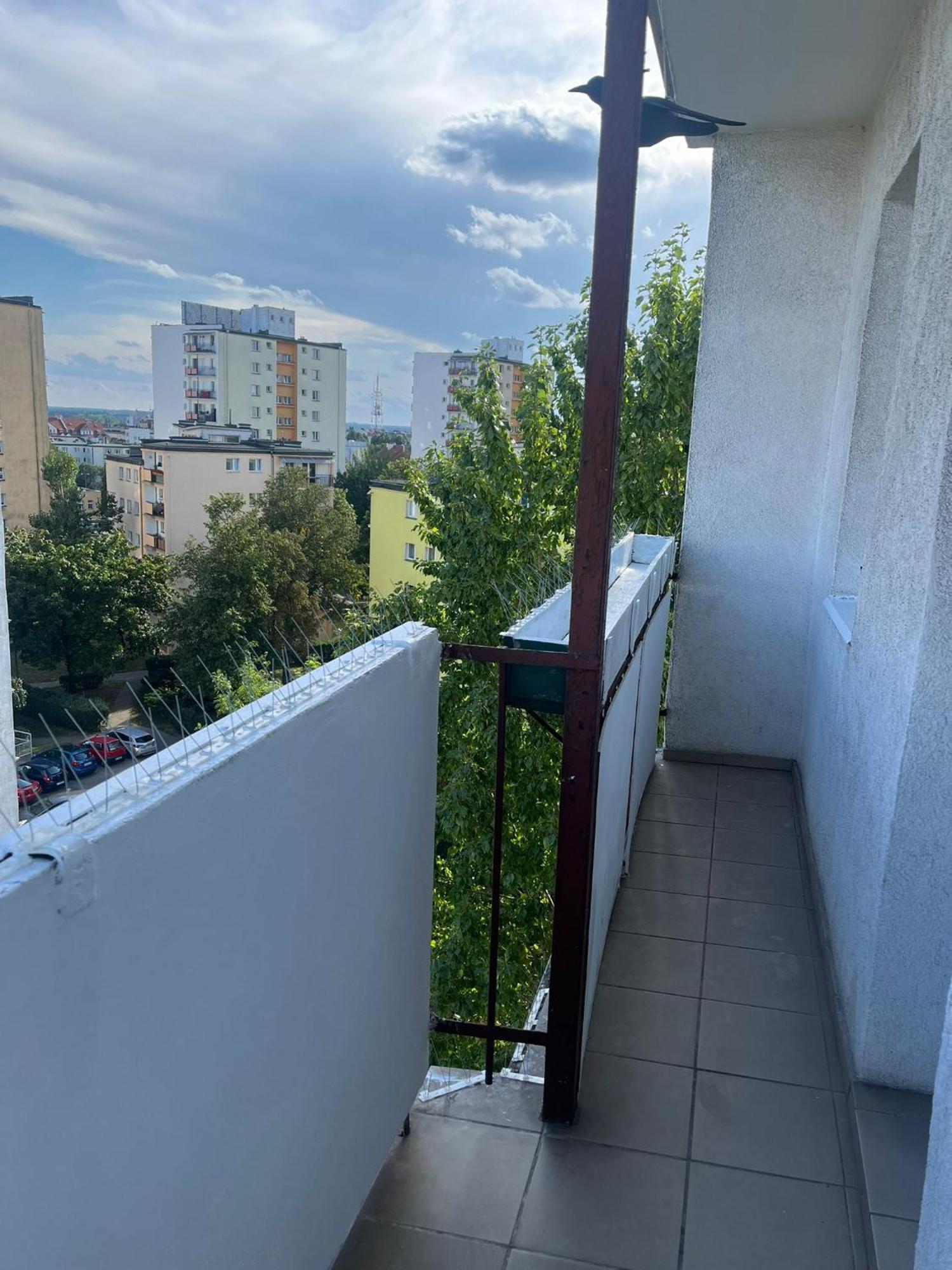 Widokowka Apartment Torun Exterior photo